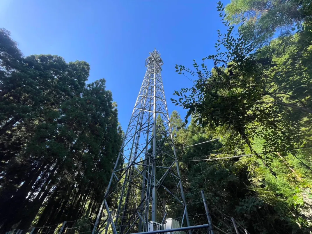 鉄塔を下から見上げています